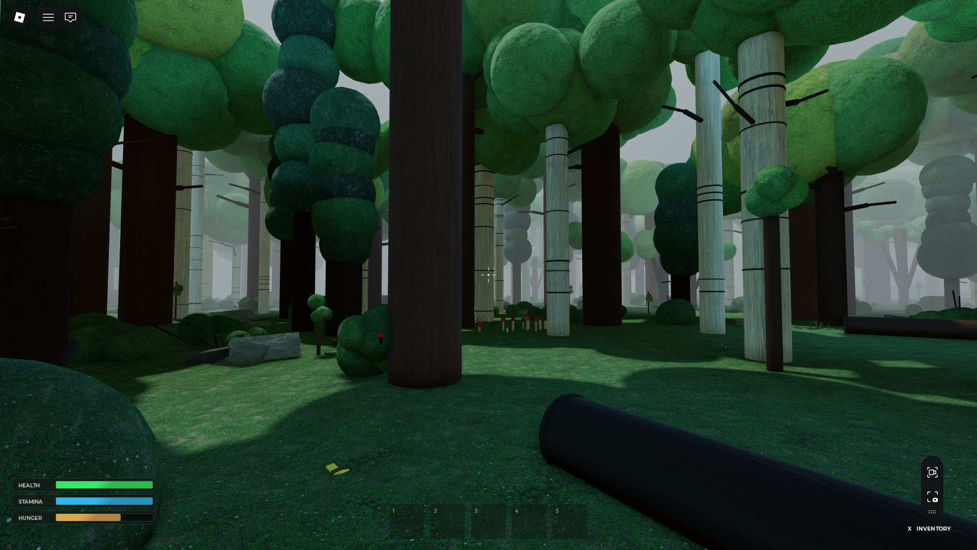 Forestale Log Barricade and Twilight